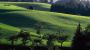 Hügellandschaft_Zum_Dorfwirt_Liebenau_Mühlviertel_Oberösterreich