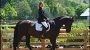 Reiten