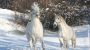 Hotel  Wiental - Fam. Rieger im Wienerwald Pressbaum