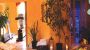 Hotel Wiental - Hotel  Wiental - Fam. Rieger im Wienerwald Pressbaum