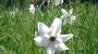 Roith Baby- Kinder und Biobauernhof
