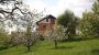 Gästehaus Dobida Frühling - Gaestehaus Dobida Unterlamm