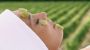 Wein & Wellness - Hotel Veltlin Poysdorf