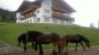 Hotel Pension Asingerhof Schladming-Rohrmoos