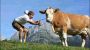 Apart Jaegerhof-Biobauernhof Harassen Going Wilder  Going am Wilden Kaiser