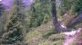 Wandern - Gasthof Zwischenberger Obervellach