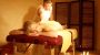 Ab zum Wellness und Wanderurlaub am Sonnberghof Bild für Fotogalerie - Landhotel Gut Sonnberghof Mittersill