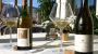 whitewine
