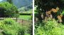 Blumenschmuck um unseren Bauernhof - Greber Rita und Wolfgang Andelsbuch