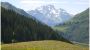 Bergwiese mit "Rote Wand" im Hintergrund - Hotel Laendle Damuels