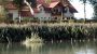 Pension Salzingerhof zw. Geinberg  u.  Bad Fuessing Kirchdorf am Inn