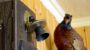 Innenansicht im Winter - Ferienhaus Frisch Strem