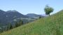 Wildschönau Tourismus