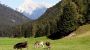 Schlösslhof - Der Schloesslhof, die Moelcheralm Leutasch
