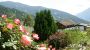 Frühstückspension Alpenrose 