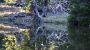 Natursee - Ferienhaus Piz Lad Nauders