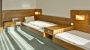 Egyágyas szoba (standard)  - Aflenzer Wanderhotel  - HOTEL POST KARLON Aflenz