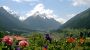 Pension Schottenhof Bild für Fotogalerie - Pension Schottenhof Fulpmes im Stubaital