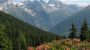 Haus Hochzeigerblick baby and child farm Image for photo gallery