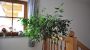 Interno albergo  - Haus Laerchenwald Umhausen - Niederthai