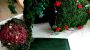 Appartement Fortuna Garni Image for photo gallery