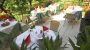 Terrasse - Hotel Garni Donauhof Weißenkirchen in der Wachau