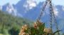 Appartement Riedhof Mieders im Stubaital