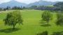 www.pension-kreuzinger.com - Pension Kreuzinger Tiefgraben am Mondsee
