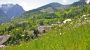 Sommer Umgebung - Hotel*** Gasthaus Schaefle Buerserberg