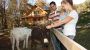 Appartments- Oase im Erholungsparadies Berta Bild für Fotogalerie - Appartments- Oase im Erholungsparadies Berta Bad Aussee