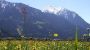 Apart - Garni Innerwiesn Mayrhofen