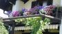 Balkonblumen - Privatzimmer Dygruber Ebensee