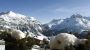 Lama, Design-Appartements - Lama, Design-Lakasok Lech am Arlberg
