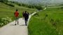 Schwalbennest - Weingut Familie Schwalm Bild