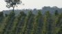 Schwalbennest - Weingut Familie Schwalm Bild