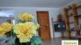 Apartment  - Am PRIMUSBERGERHOF in Bad Goisern Bad Goisern