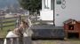 Tiere - Lamplhof Wiesing