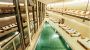Spa bazen - Therme Laa - Hotel & Spa****S Laa a.d. Thaya