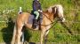 Gast-Kind hoch zu Pferd