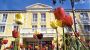 Helga Dolezal, Beauty-Vital-Residenz, Neusiedl - Beauty Vital Residenz Neusiedl am See