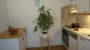 Ferienwohnung Ronacher Abtenau