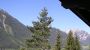 Blick zum See im Sommer - Ferienwohnungen Walser Maurach am Achensee