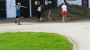 Das Heu Heimbringen - Bachbauer Kinderparadies St. Lorenz am Mondsee