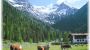 Alpengasthof*** Gern Alm, 1.172 m - Alpengasthof*** Gern Alm, 1.172 m Pertisau am Achensee