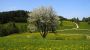 Landschaft