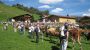 Hottererhof + Roessl Alm Gerlos