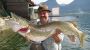 Am See - Hechtfischen am Wolfgangsee - Am See - Gaestehaus Seeromantik St. Wolfgang