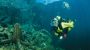Divers Paradise am Attersee Tauchen im größten Binnensee Österreichs