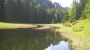 Harbe weiher