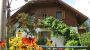 Seehaus Libelle Ossiach